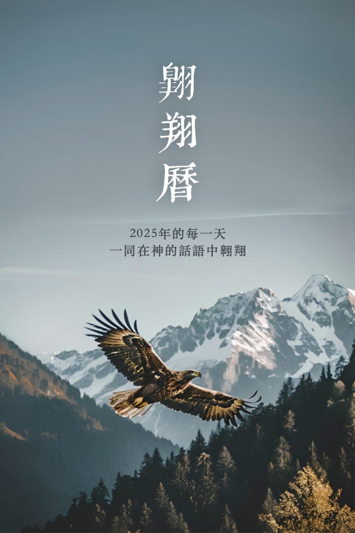 翱翔曆｜2025 手撕曆